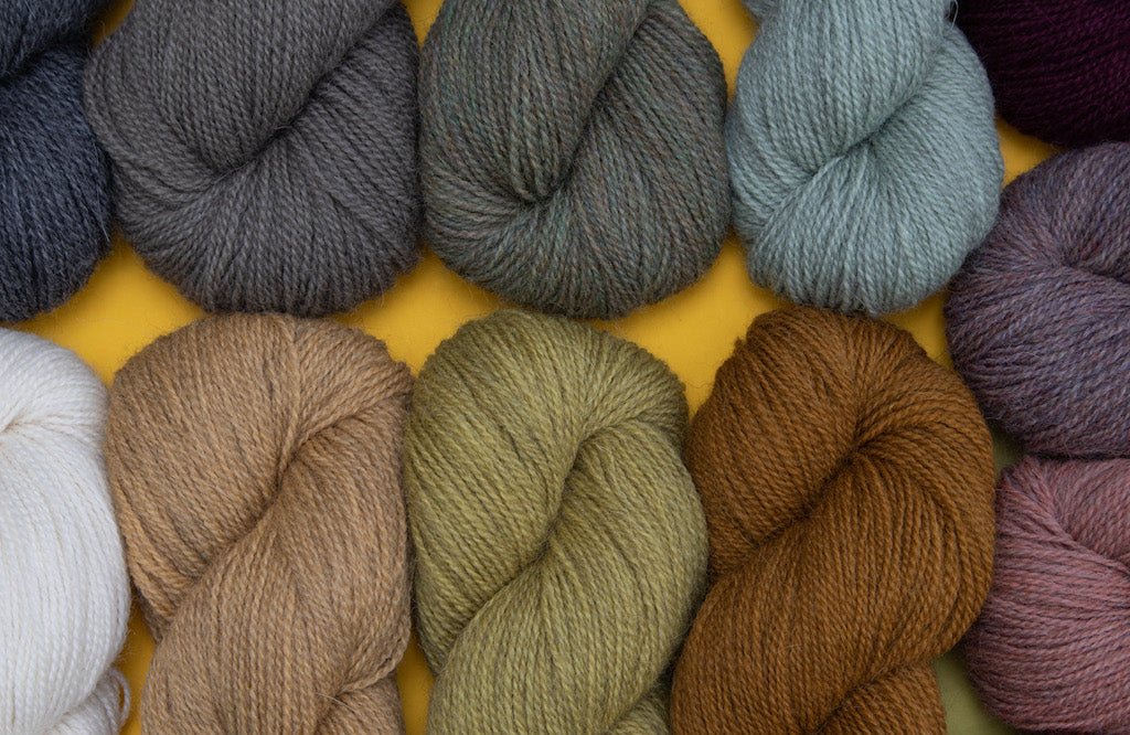 DYER PROFILE: ISAGER