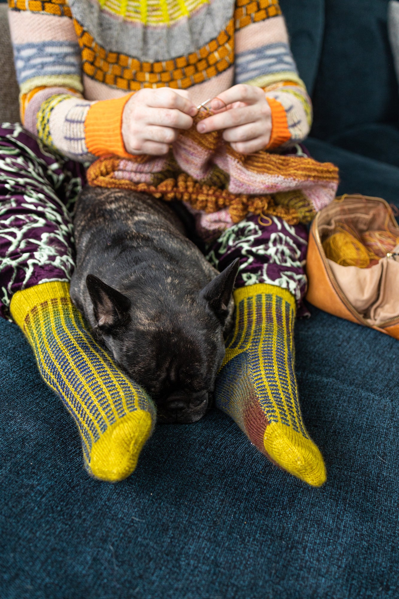 This image shows Stephen West wearing a yellow and blue sample of the Botanic Socks by Westknits. He stands on a denim blue background and a little black dog rest between his legs.