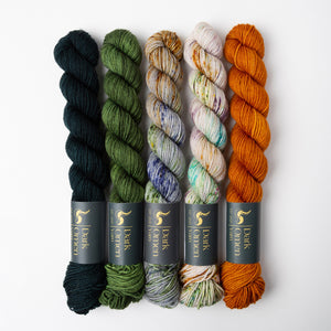 Dark Omen Yarn WESTKNITS KIT - AUTUMN MINIS multicolour orange blue Westknits Kits