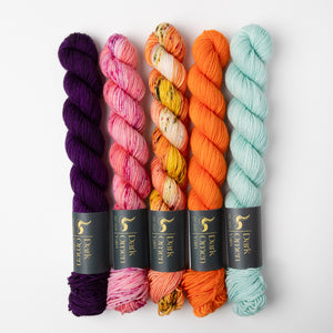 Dark Omen Yarn WESTKNITS KIT - CARROT MINIS multicolour orange blue Westknits Kits