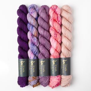 Dark Omen Yarn WESTKNITS KIT - STARDUST MINIS peach pink purple Westknits Kits