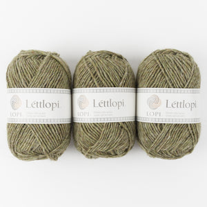 LÉTTLOPI 1417 - FROSTBITE