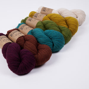 LINDU PEYSA - DIJON BEAR