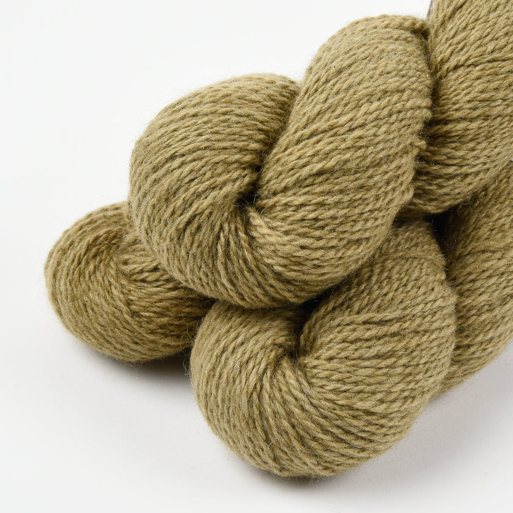 WOOLLY WORSTED - GROVE