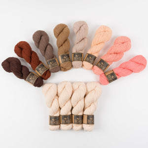 West Wool BICYCLE 9 COLOUR 12 SKEIN KITS teal multicolour peach coral cream grey gray-1 yellow turquoise purple orange blue black pink brown green multicolor Quick Kits