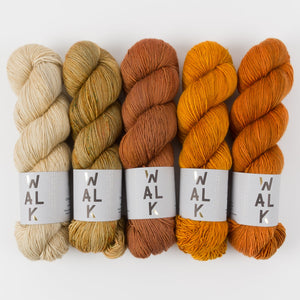 WALK Collection WESTKNITS KIT - PUMPKIN SOUP Merino wool Fingering orange brown beige Westknits Kits