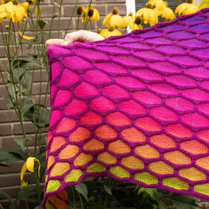 BIG HONEYCOMBS - IZABELLA'S FLOWERS