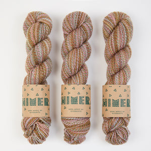 CHIMERA - SUCCULENTS