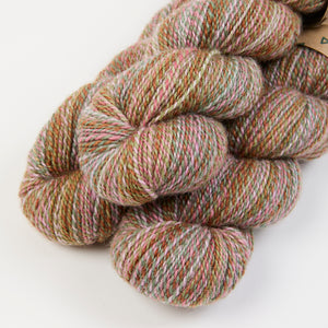 CHIMERA - SUCCULENTS