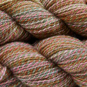 CHIMERA - SUCCULENTS