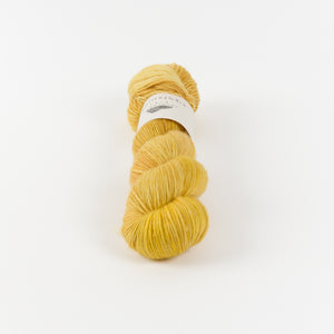 SINGLE MERINO - A NEWBORN DUCKLING