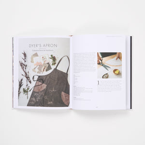 THE WILD DYER by ABIGAIL BOOTH