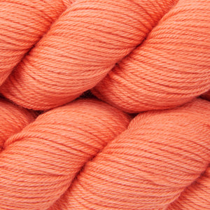 WICKED DK - ONE SONG GLORY