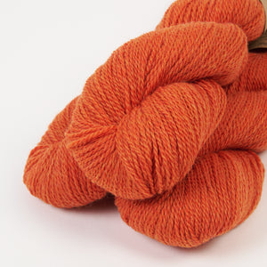 BICYCLE - BLOOD ORANGE