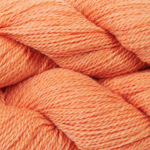 BICYCLE - GRAPEFRUIT