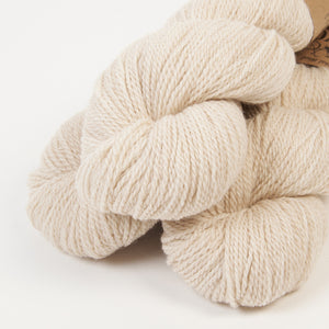 BICYCLE - POLAR BEAR