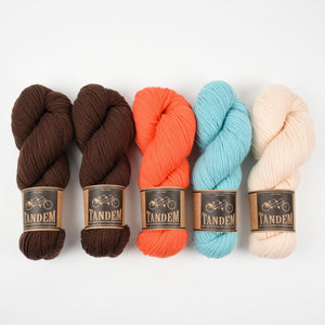 West Wool WESTKNITS KIT - MARINE TRUFFLES Merino wool DK peach coral turquoise brown Westknits Kits