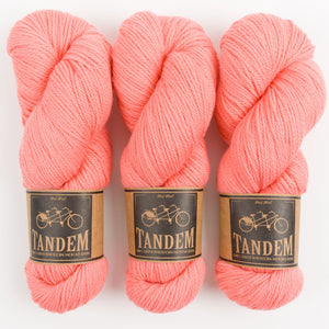 West Wool BILLOWING BRAID SOCKS - FLAMINGO Merino wool DK coral pink Westknits Kits