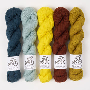 West Wool WESTKNITS KIT - COLD CHESTNUTS Merino wool Fingering yellow brown blue Westknits Kits