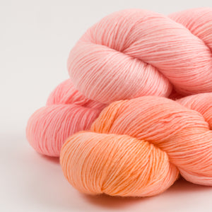 DASHING SASSY - SNAPPER