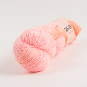 DASHING SASSY - SNAPPER