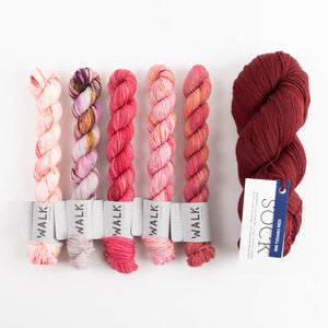 PAINTING BRICKS SOCKS - TIZIANO CHEESECAKE