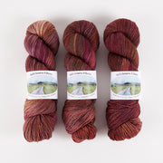 Ballyhoura Fibres 4PLY SOCK - AFTERGLOW Merino wool Nylon Fingering brown Yarn