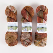 Ballyhoura Fibres 4PLY SOCK - SUSURROUS Merino wool Nylon Fingering brown Yarn