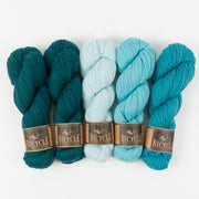West Wool AQUA DEPTHS Merino wool Fingering Quick Kits