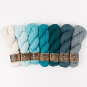 West Wool AQUA SPRUCE Merino wool Fingering Quick Kits