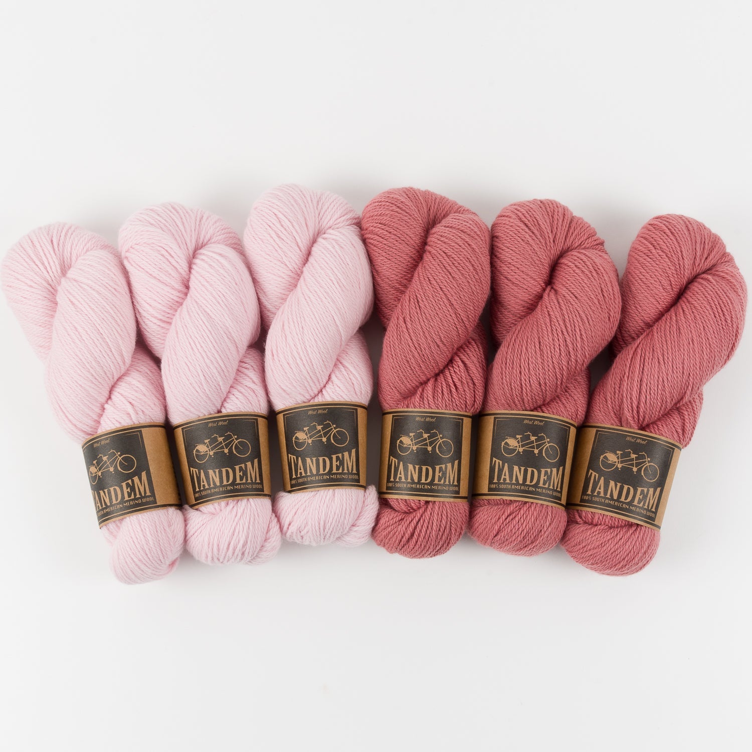 BRIOCHE SOUNDWAVES
