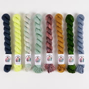 Twisted Ambitions HAZY MOONLIGHT Merino wool Nylon Fingering Quick Kits