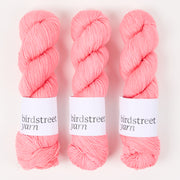 Birdstreet Yarn BIRDSTREET BFL - SASSY BFL Wool Blue Faced Leicester Nylon Fingering pink Yarn