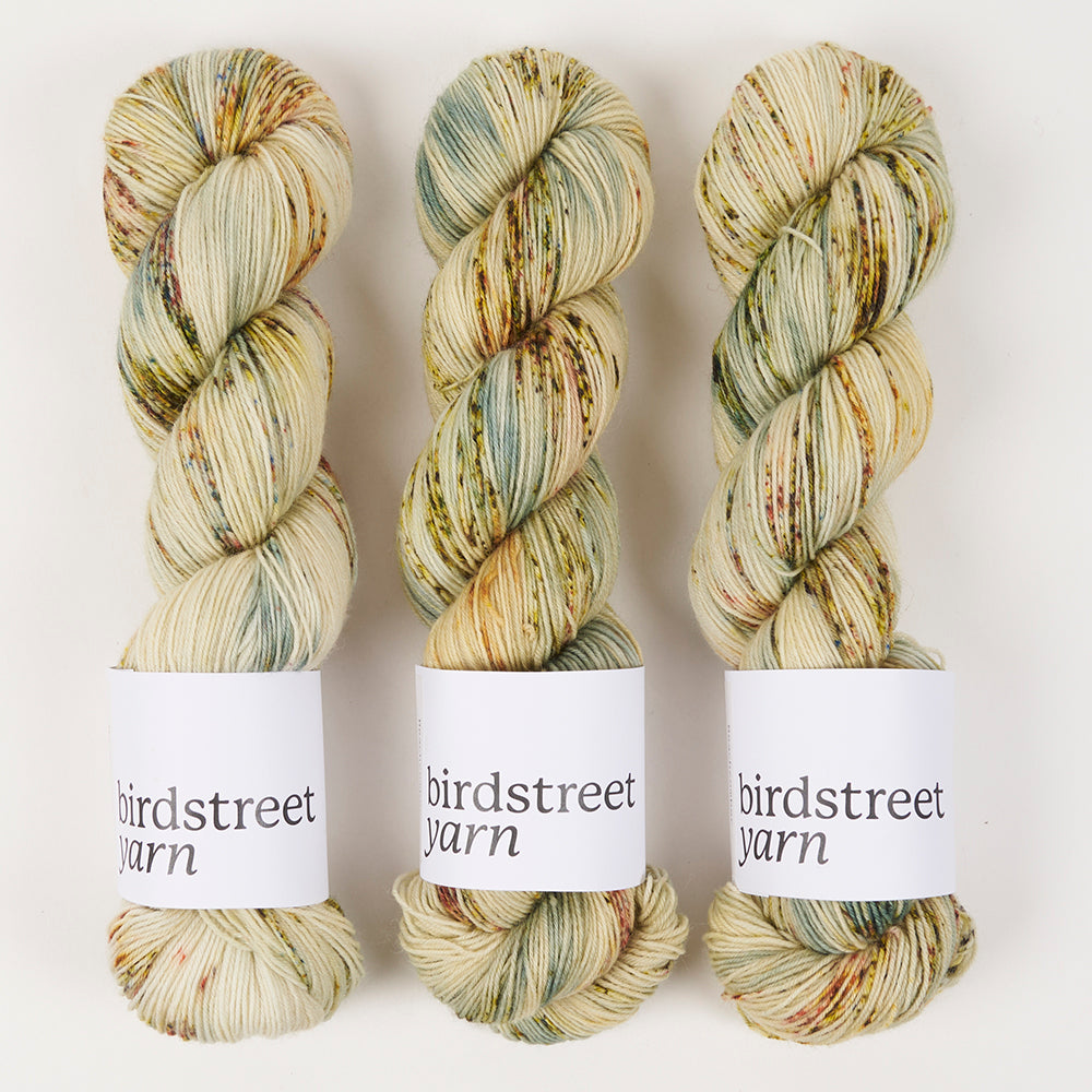 Birdstreet Yarn BIRDSTREET BFL - BEACHCOMBER BFL Wool Blue Faced Leicester Nylon Fingering beige green Yarn