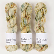 Birdstreet Yarn BIRDSTREET BFL - BEACHCOMBER BFL Wool Blue Faced Leicester Nylon Fingering beige green Yarn