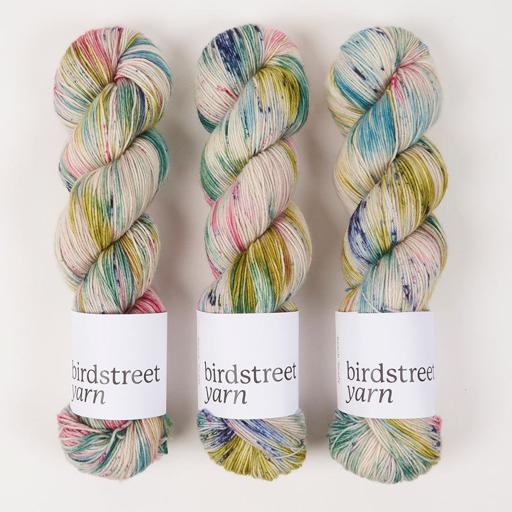 Birdstreet Yarn BIRDSTREET BFL - BEACH READY BFL Wool Blue Faced Leicester Nylon Fingering multicolour Yarn