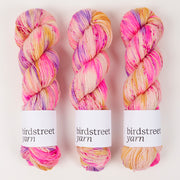 Birdstreet Yarn BIRDSTREET BFL - GROOVE IS IN THE HEART BFL Wool Blue Faced Leicester Nylon Fingering multicolour pink Yarn