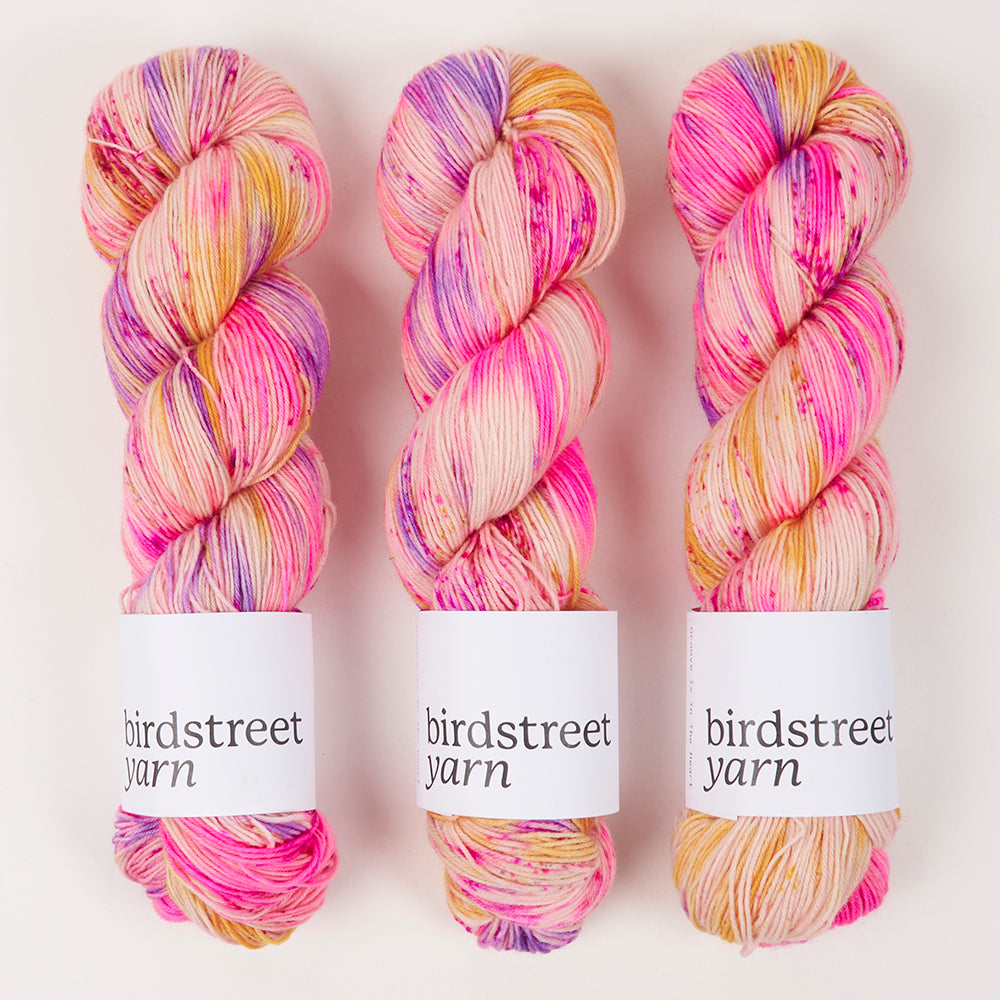 Birdstreet Yarn BIRDSTREET BFL - GROOVE IS IN THE HEART BFL Wool Blue Faced Leicester Nylon Fingering multicolour pink Yarn