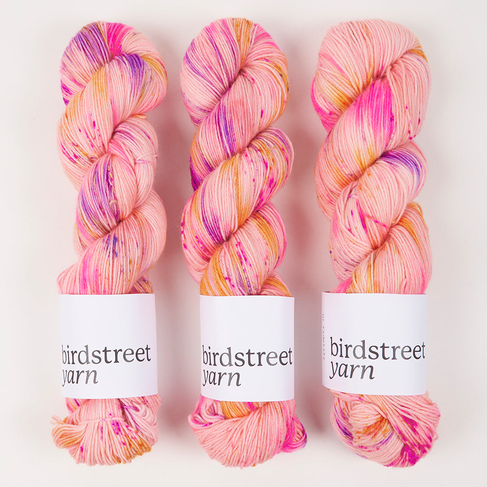 Birdstreet Yarn BIRDSTREET BFL - HI FIDELITY BFL Wool Blue Faced Leicester Nylon Fingering pink multicolour Yarn