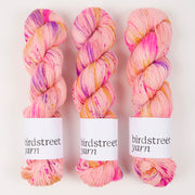 Birdstreet Yarn BIRDSTREET BFL - HI FIDELITY BFL Wool Blue Faced Leicester Nylon Fingering pink multicolour Yarn