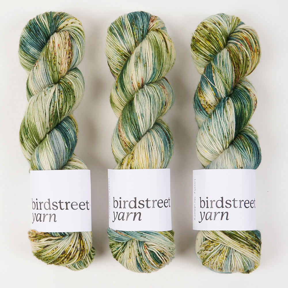 Birdstreet Yarn BIRDSTREET BFL - LOVELY SHRUBBERY BFL Wool Blue Faced Leicester Nylon Fingering green multicolour Yarn