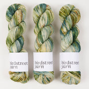 Birdstreet Yarn BIRDSTREET BFL - LOVELY SHRUBBERY BFL Wool Blue Faced Leicester Nylon Fingering green multicolour Yarn