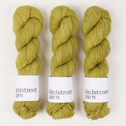 Birdstreet Yarn BIRDSTREET BFL - MOJITO BFL Wool Blue Faced Leicester Nylon Fingering green Yarn
