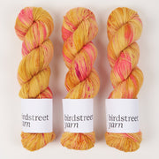 Birdstreet Yarn BIRDSTREET BFL - SUNSHIIINE! BFL Wool Blue Faced Leicester Nylon Fingering pink yellow Yarn