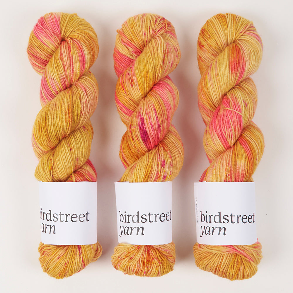 Birdstreet Yarn BIRDSTREET BFL - SUNSHIIINE! BFL Wool Blue Faced Leicester Nylon Fingering pink yellow Yarn