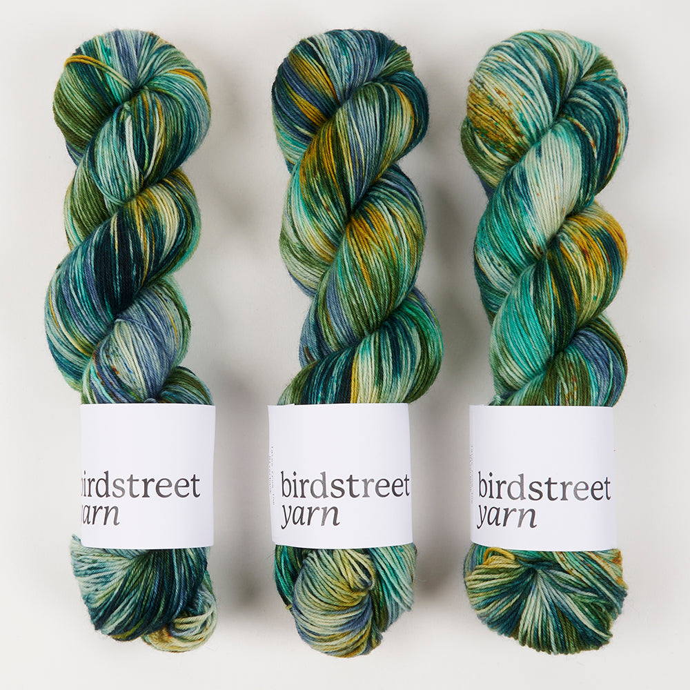 Birdstreet Yarn BIRDSTREET BFL - TALES FROM THE RIVERBANK BFL Wool Blue Faced Leicester Nylon Fingering blue multicolour Yarn