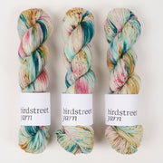 Birdstreet Yarn BIRDSTREET BFL - TOWN AND COUNTRY MICE BFL Wool Blue Faced Leicester Nylon Fingering multicolour Yarn