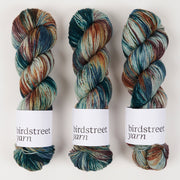 Birdstreet Yarn BIRDSTREET BFL - WHERE THE WILD THINGS ARE BFL Wool Blue Faced Leicester Nylon Fingering multicolour blue Yarn