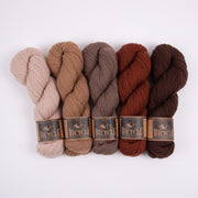 West Wool TOASTED TRUFFLES Merino wool Fingering Quick Kits