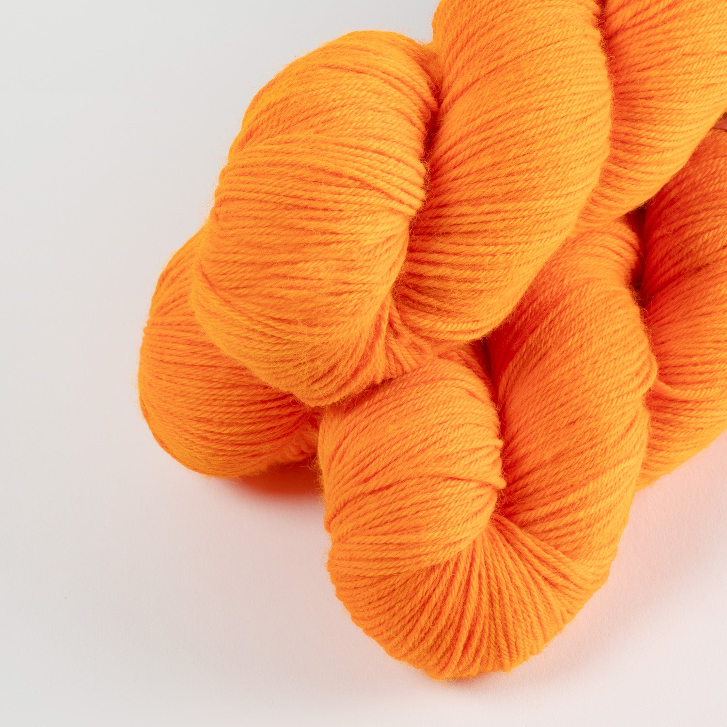 BRESNI'S MERINO - CELEBRATION